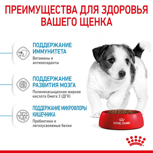 Корм Royal Canin Mini Puppy для щенков малых пород 2-10 мес., 4 кг