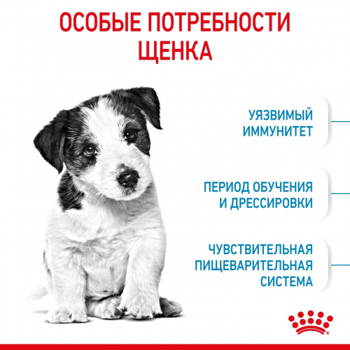 Корм Royal Canin Mini Puppy для щенков малых пород 2-10 мес., 4 кг