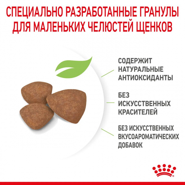 Корм Royal Canin Mini Puppy для щенков малых пород 2-10 мес., 4 кг