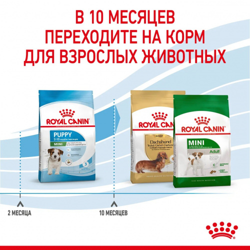 Корм Royal Canin Mini Puppy для щенков малых пород 2-10 мес., 4 кг