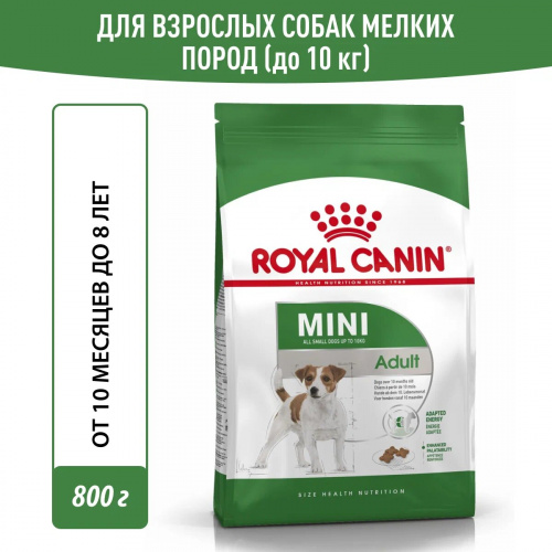 Корм Royal Canin Mini Adult для собак малых пород (до 10 кг), 10 мес. - 8 лет, 2 кг (Копировать)