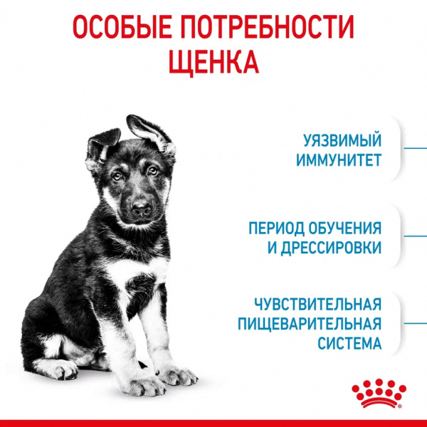 Корм Royal Canin Maxi Puppy для щенков крупных пород 2-15 мес., 15 кг