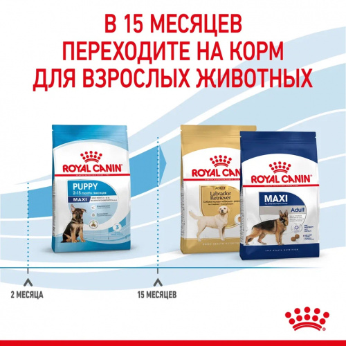 Корм Royal Canin Maxi Puppy для щенков крупных пород 2-15 мес., 15 кг