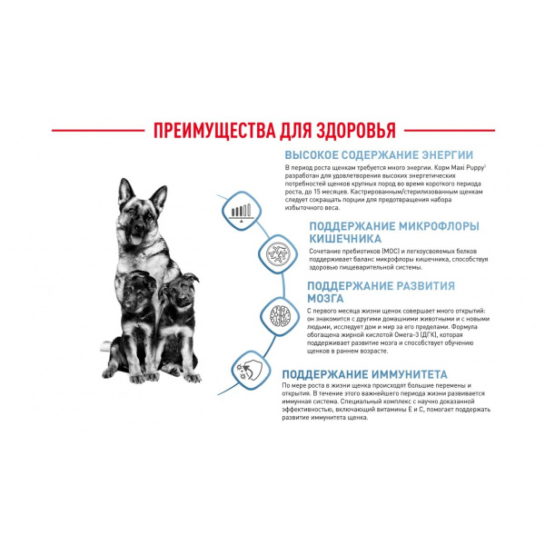 Корм Royal Canin Maxi Puppy для щенков крупных пород 2-15 мес., 15 кг