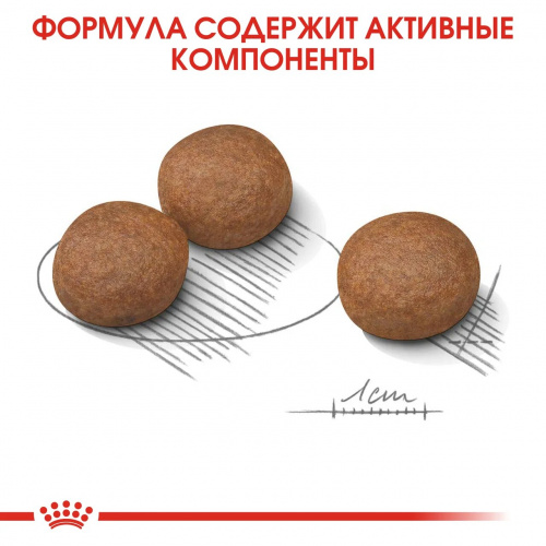 Корм Royal Canin Medium Digestive Care для собак средних пород (11-25 кг) при расстройствах пищеварения, 3 кг