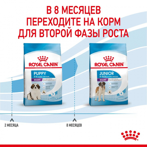 Корм Royal Canin Giant PUPPY для щенков гигантских пород 2-8 мес., 15 кг