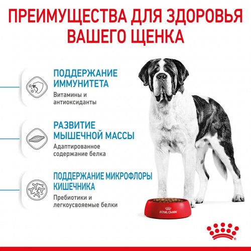 Корм Royal Canin Giant JUNIOR для щенков гигантских пород 8-24 мес., 15 кг