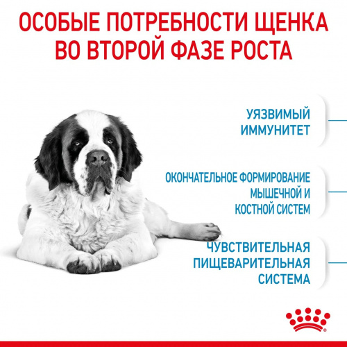 Корм Royal Canin Giant JUNIOR для щенков гигантских пород 8-24 мес., 15 кг