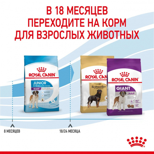 Корм Royal Canin Giant JUNIOR для щенков гигантских пород 8-24 мес., 15 кг