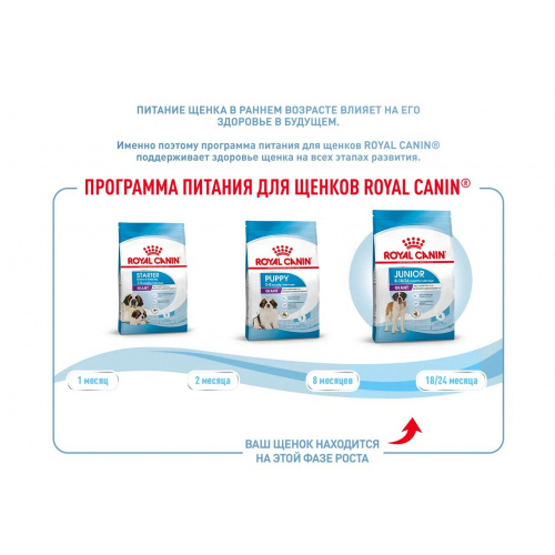 Корм Royal Canin Giant JUNIOR для щенков гигантских пород 8-24 мес., 15 кг