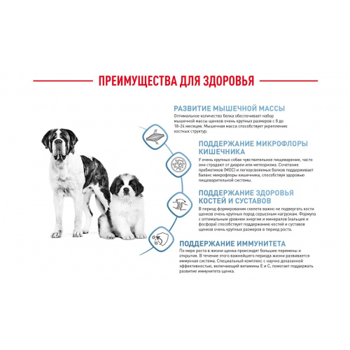 Корм Royal Canin Giant JUNIOR для щенков гигантских пород 8-24 мес., 15 кг