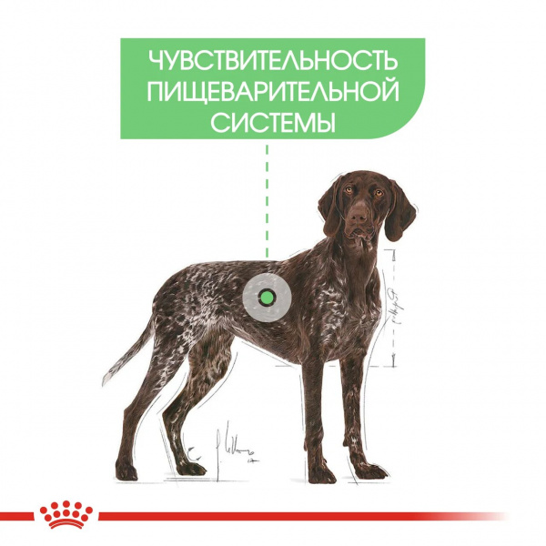 Корм Royal Canin Maxi Digestive Care для собак крупных пород (26-44 кг) при расстройствах пищеварения, 3 кг