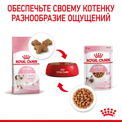 Корм Royal Canin Kitten (в соусе) для котят от 4 до 12 мес., 85 г