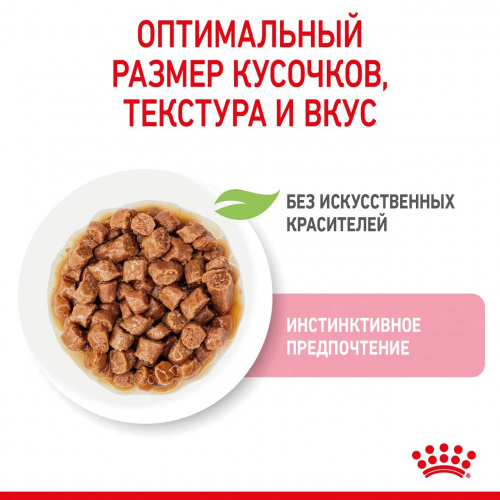 Корм Royal Canin Kitten (в соусе) для котят от 4 до 12 мес., 85 г