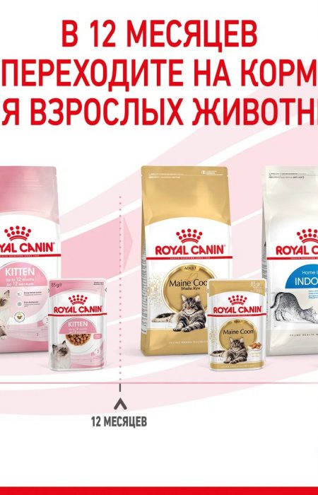 Корм Royal Canin Kitten (в соусе) для котят от 4 до 12 мес., 85 г