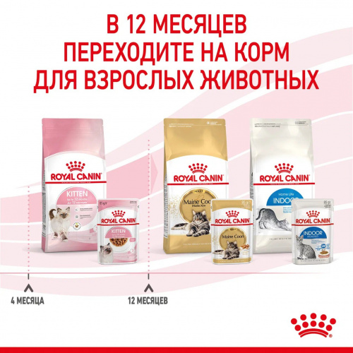 Корм Royal Canin Kitten (в соусе) для котят от 4 до 12 мес., 85 г