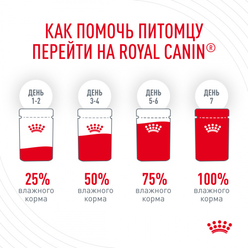 Корм Royal Canin Hair & Skin (в желе) для красоты шерсти и здоровья кожи, 85 г