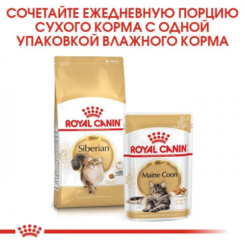 Корм Royal Canin Siberian для сибирских кошек старше 1 года, 2 кг