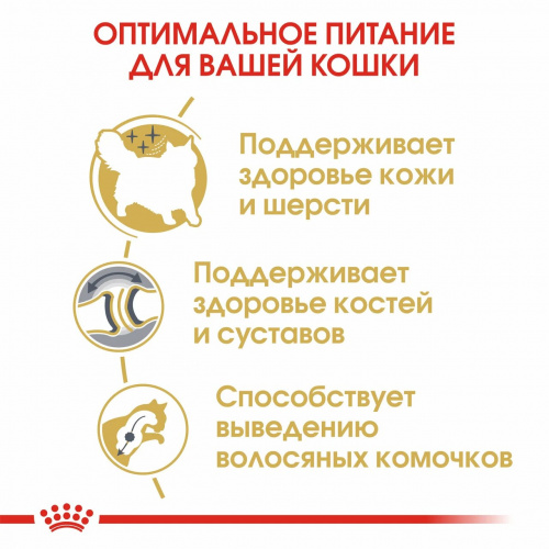 Корм Royal Canin Siberian для сибирских кошек старше 1 года, 2 кг