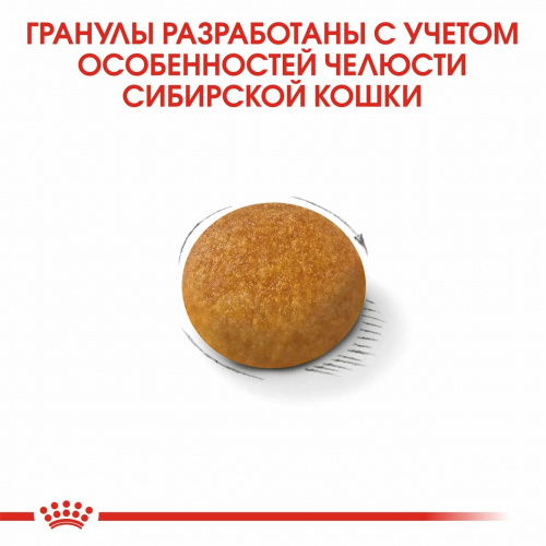 Корм Royal Canin Siberian для сибирских кошек старше 1 года, 2 кг