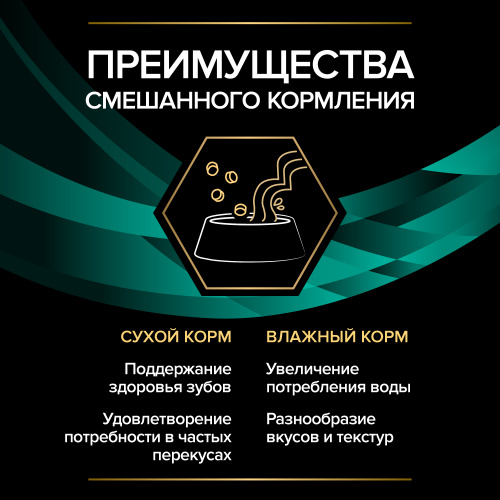 VETERINARY DIETS EN ST/OX Gastrointestinal влажный корм для котят и взрослых кошек диетический PRO PLAN при расстройствах пищеварения,  с лососем,  в соусе, 850 г