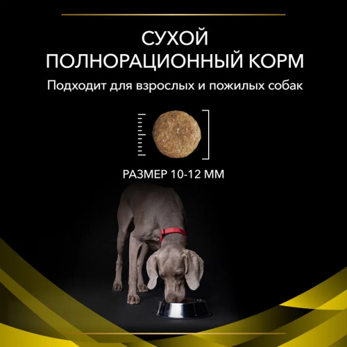 VETERINARY DIETS NC NeuroCare сухой корм для собак диетический PRO PLAN для поддержания функции мозга, 3 кг