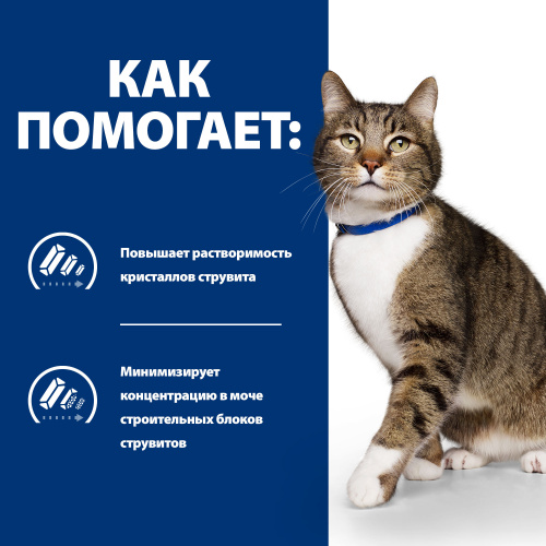 Влажный корм Hill's Prescription Diet s/d Urinary Care для кошек при профилактике мочекаменной болезни (мкб), 156г