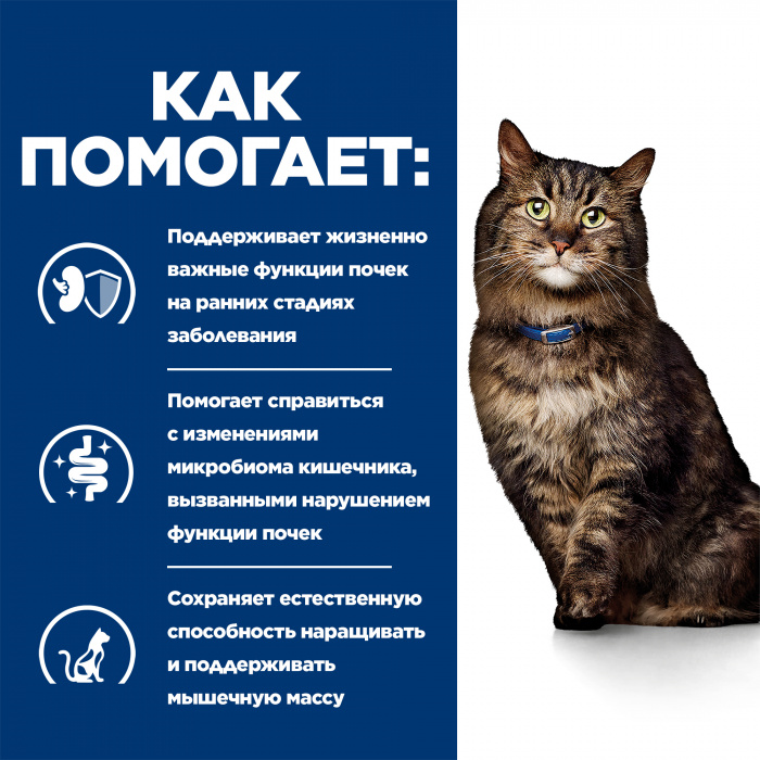 Влажный корм Hill's Prescription Diet k/d Early Stage для кошек при ранней стадии болезни почек, с курицей, 85г