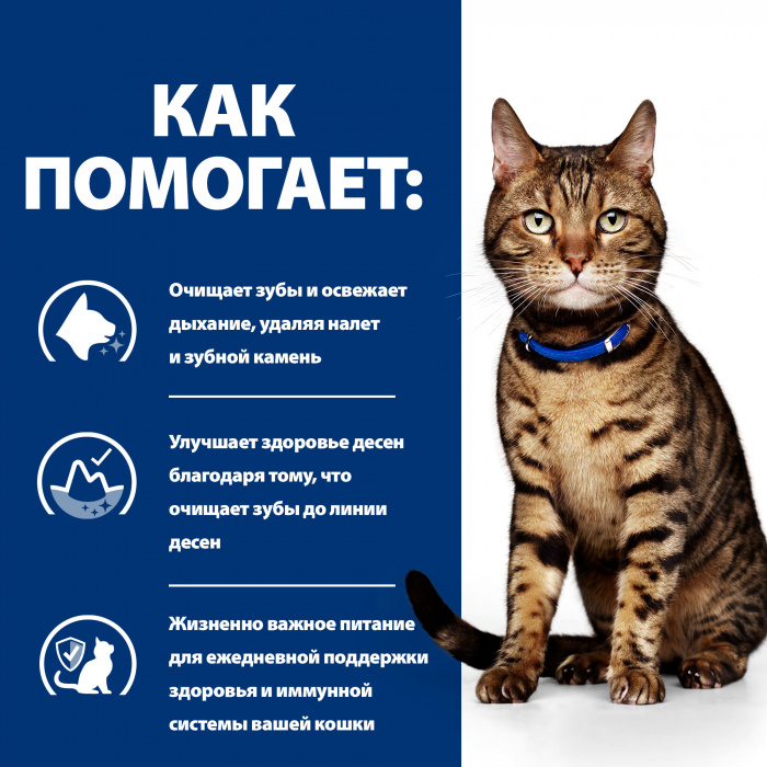 Сухой корм Hill's Prescription Diet t/d для кошек при заболеваниях полости рта, с курицей, 1,5кг