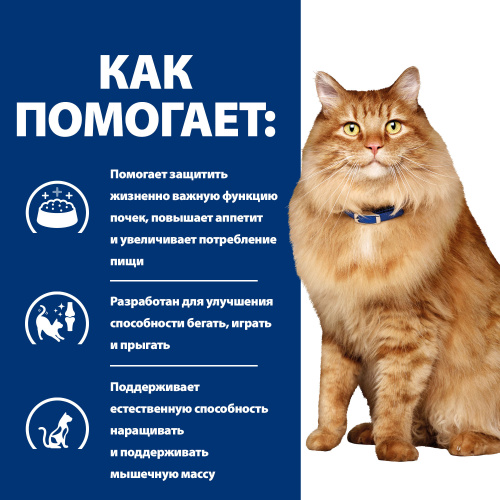 Сухой корм Hill's Prescription Diet k/d + Mobility для кошек для поддержания здоровья почек и суставов, с курицей, 1,5кг