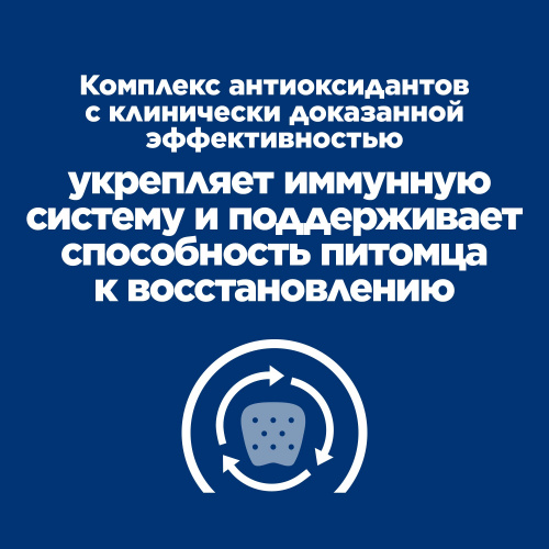 Влажный корм для кошек и собак Hill's Prescription Diet a/d при реабилитации после болезней, с курицей, 200г