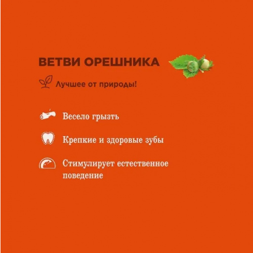 Little One 0,035кг Лакомство 7шт Ветви орешника для изгрызания для грызунов