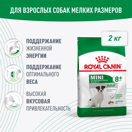 Royal Canin Mini Adult 8+