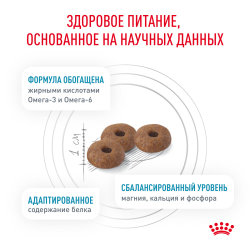 Royal Canin SKIN & COAT корм ​​сухой для кошек для сохранения защитных свойств кожи, 400 г.