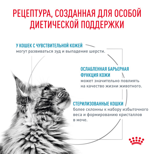 Royal Canin SKIN & COAT корм ​​сухой для кошек для сохранения защитных свойств кожи, 400 г.