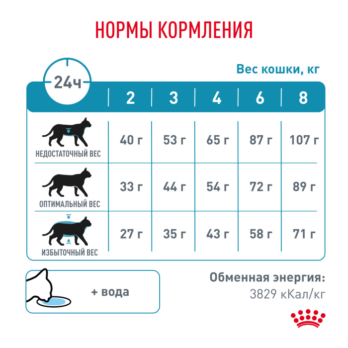 Royal Canin SKIN & COAT корм ​​сухой для кошек для сохранения защитных свойств кожи, 400 г.