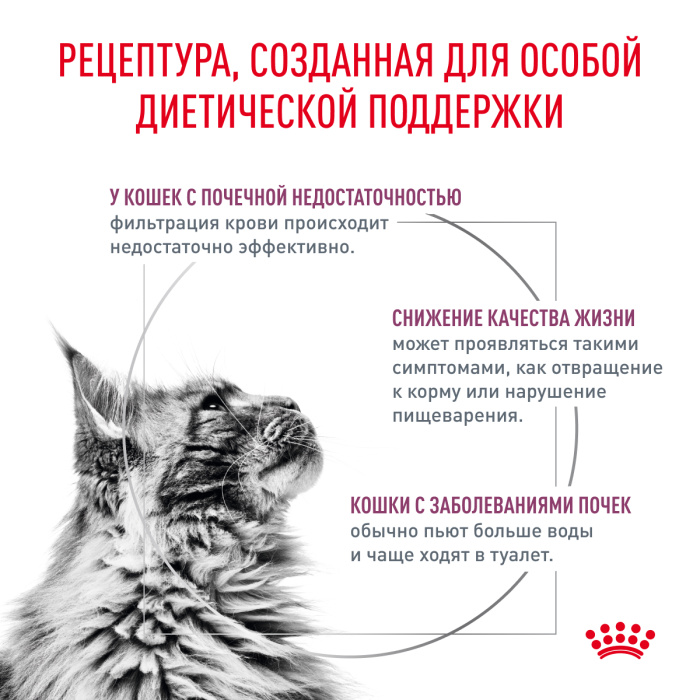 Royal Canin RENAL (РЕНАЛ) корм ​​для сухих взрослых кошек для поддержания функций почек, 350 г.