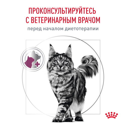 Royal Canin RENAL (РЕНАЛ) корм ​​для сухих взрослых кошек для поддержания функций почек, 350 г.