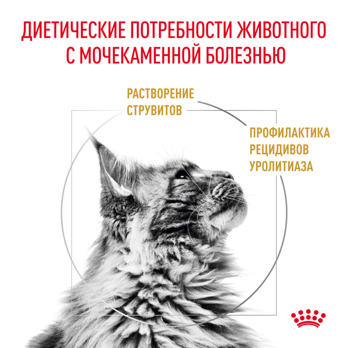 Royal Canin URINARY S/O rорм сухой для кошек при мочекаменной болезни, 350 г.