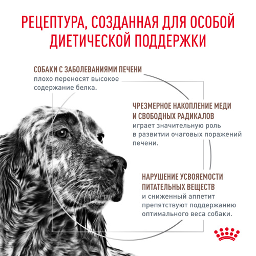 Royal Canin HEPATIC корм ​​сухой для взрослых собак для поддержания функции печени - 1,5 кг.