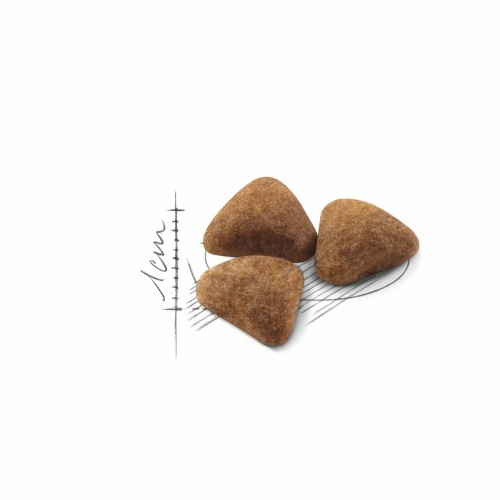 Корм Royal Canin Indoor для домашних кошек 1-7 лет, 400 г