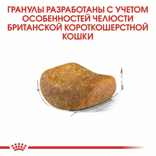 Корм Royal Canin British Shorthair для британских пород старше 1 года, 10 кг