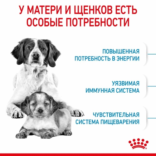 Корм Royal Canin Medium Starter для щенков средних пород до 2 мес., беременных и кормящих сук, 12 кг