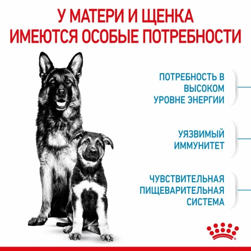 Корм Royal Canin Maxi Starter для щенков крупных пород до 2 мес., беременных и кормящих сук, 15 кг