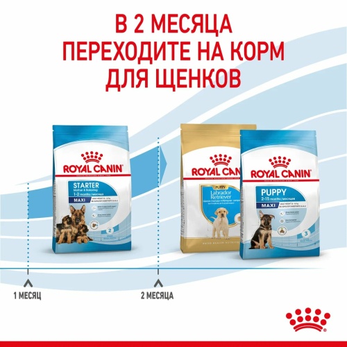 Корм Royal Canin Maxi Starter для щенков крупных пород до 2 мес., беременных и кормящих сук, 15 кг