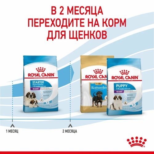 Корм Royal Canin Giant Starter для щенков гигантских пород до 2 мес., беременных и кормящих сук, 15 кг