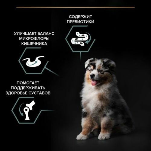 Сухой корм Pro Plan® для щенков средних пород с чувствительным пищеварением, с высоким содержанием ягненка, Пакет, 12 кг
