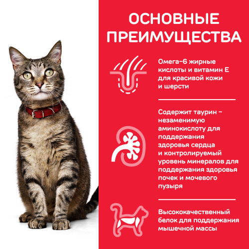 Влажный корм Hill's Science Plan для взрослых кошек для поддержания жизненной энергии и иммунитета, паштет с лососем, 82 г