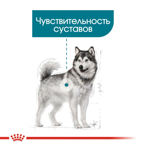 Royal Canin Maxi Joint Care корм ​​сухой для собак с повышенной чувствительностью суставов - 3 кг.