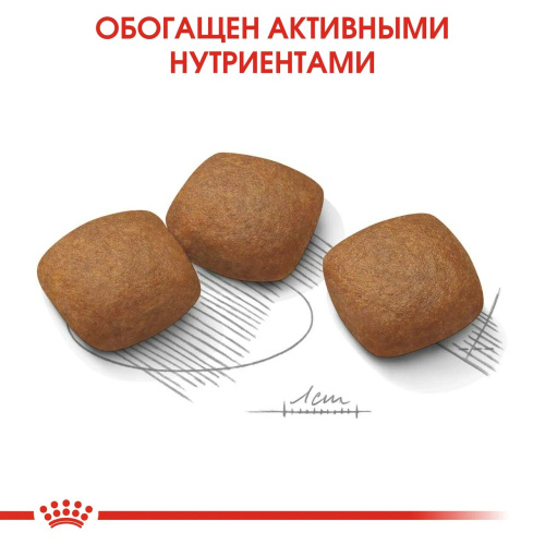 Royal Canin Maxi Joint Care корм ​​сухой для собак с повышенной чувствительностью суставов - 3 кг.